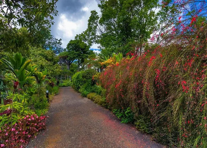 فندق Quinta Jardins Do