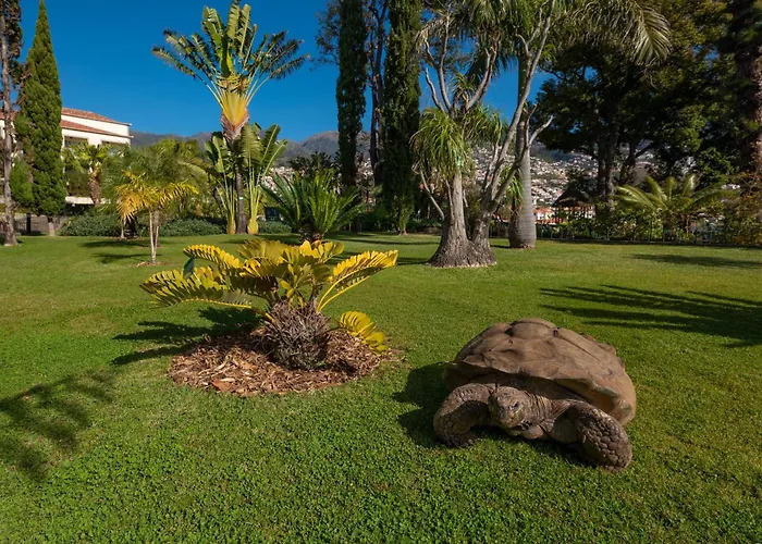 فندق Quinta Jardins Do فونشال