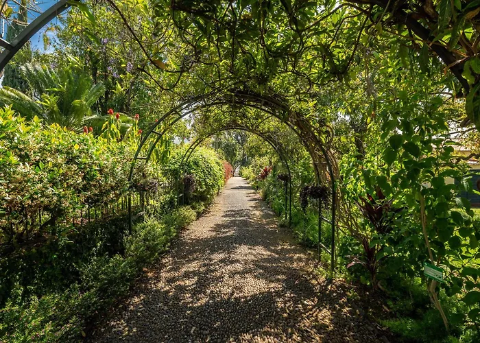 拉戈金塔花园酒店 丰沙尔